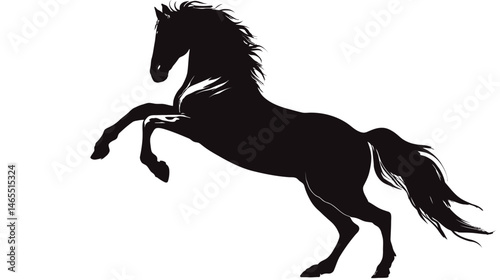 Horse rearing up silhouette vector isolated on white background  -  