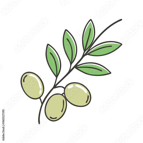 Stock vector illustration of olive branch with green olives and leaves for graphic design use
