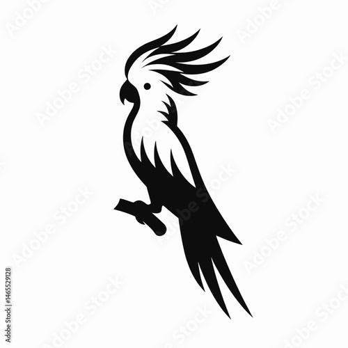  Cockatoo Silhouettes in black on a white background 
