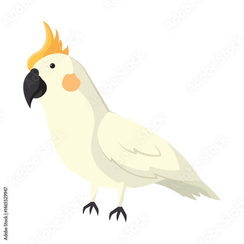 Cute cockatoo pet. Vector