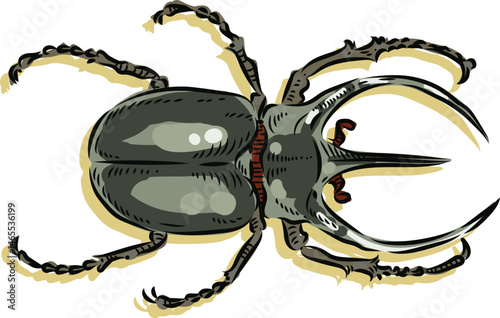 vector illustration of a beetle 