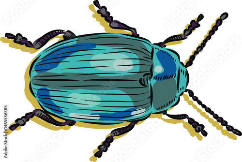 vector illustration of a beetle 