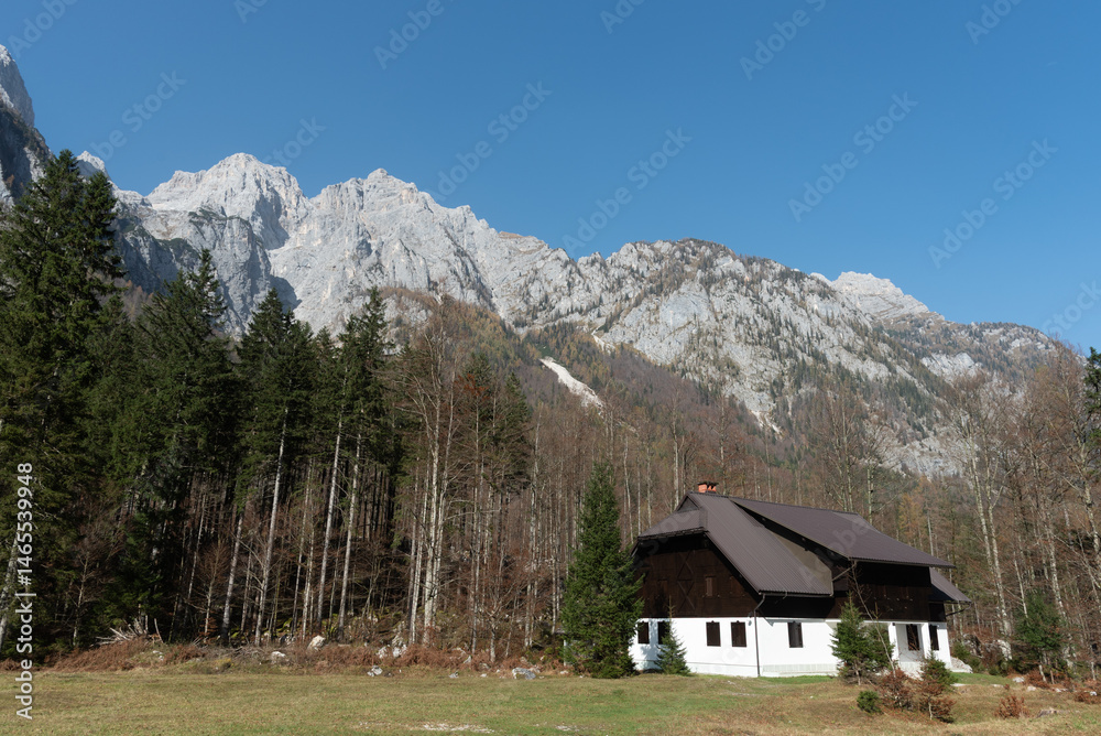 Cozy mountain chalet nestled in an autumn forest landscape. Julian alps Slovenia
