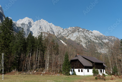 Obraz na płótnie Cozy mountain chalet nestled in an autumn forest landscape. Julian alps Slovenia w salonie