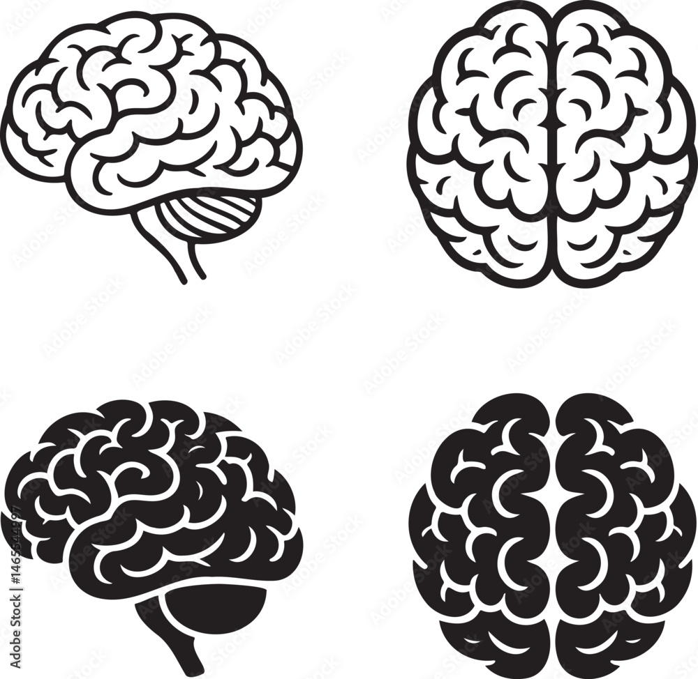 Human Brain silhouette & Outline set vector illustration isolated On Transparent Background Human Brain silhouette & Outline set vector illustration isolated On Transparent Background
