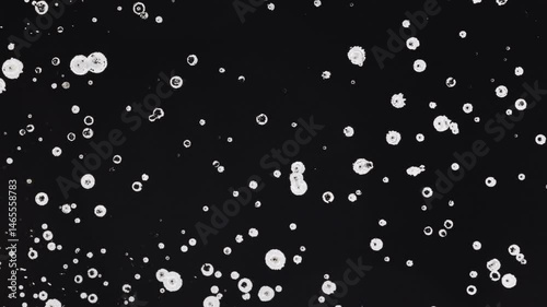 White Paint Splattering On Black Background