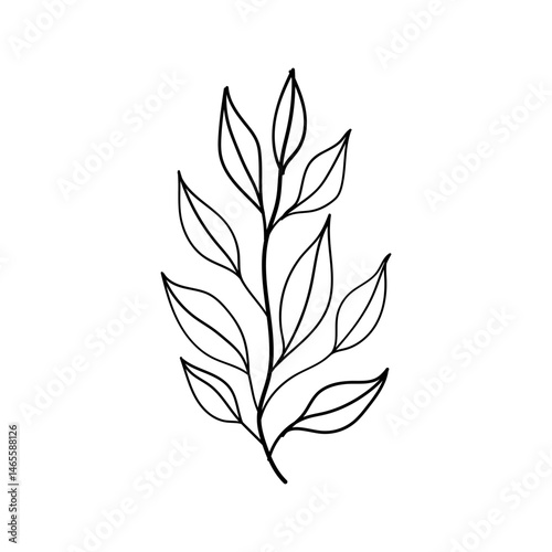 Minimal Leaf Line Drawing. Elegant black and white illustration of a single leaf stem drawn in a clean minimalist style.