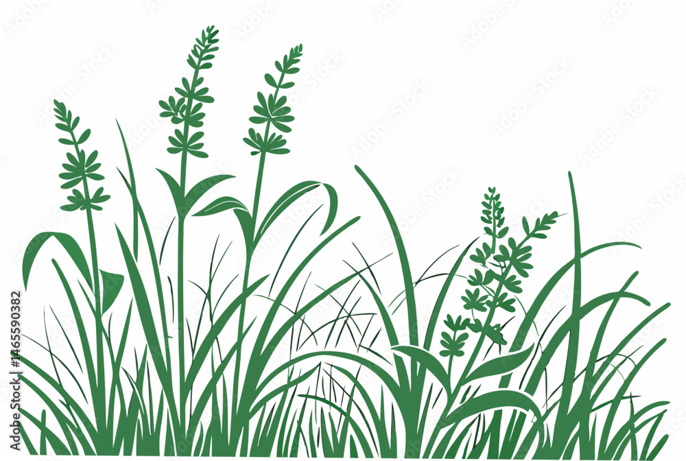 Fototapeta premium green grass vector