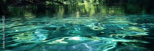 Serenity in Transparency: An Oasis of Reflective Waters