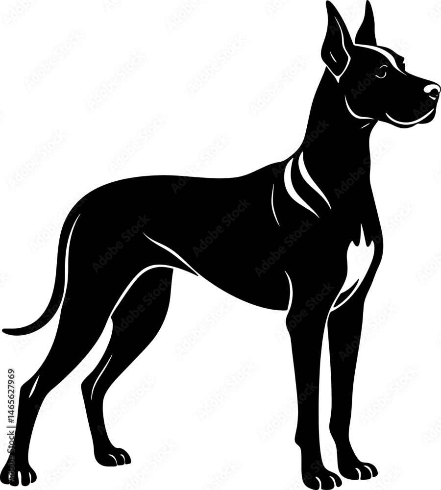 Fototapeta premium great dane simple black silhouette, Black silhouette vector icon, silhouette illustration, Animal silhouette