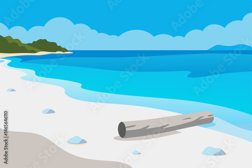 tropical beach with palm tree
