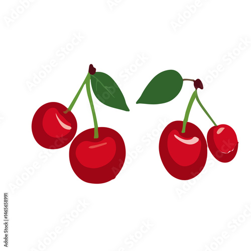 cherry fruit vector on transparent background
