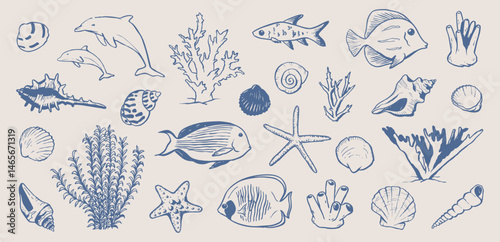 Fish and shells, underwater world doodles. Marine drawings. Hand drawn illustration of corals, sea plants, seashells. Graphic background elements.