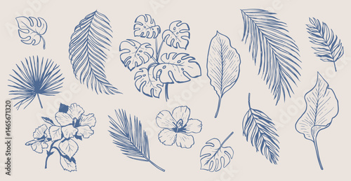 Exotic leaves and branch doodles. Palm tree drawings. Hand drawn illustration of Hawaiian flowers and flora. Graphic background elements.