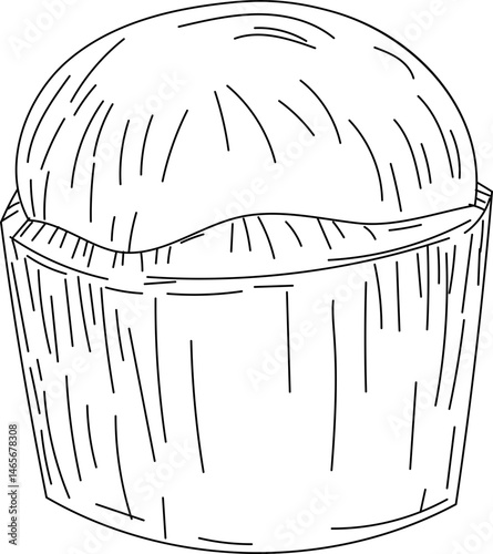 Coconut shell with lid hand-drawn coconut sketch vector illustration