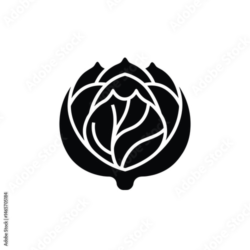 cabbage icon vector illustration