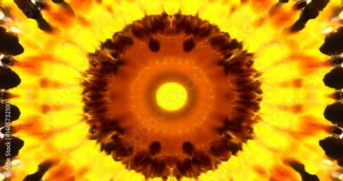 Yellow and black flower with a black background