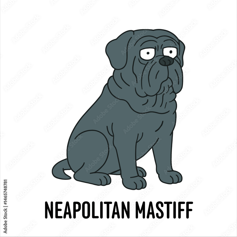 Fototapeta premium Vector Cartoon Character Illustration Neapolitan Mastiff Dog Breed 