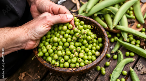 Hands shucking peas, photo