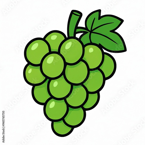 Bunch of green grapes hanging from vine with leaf