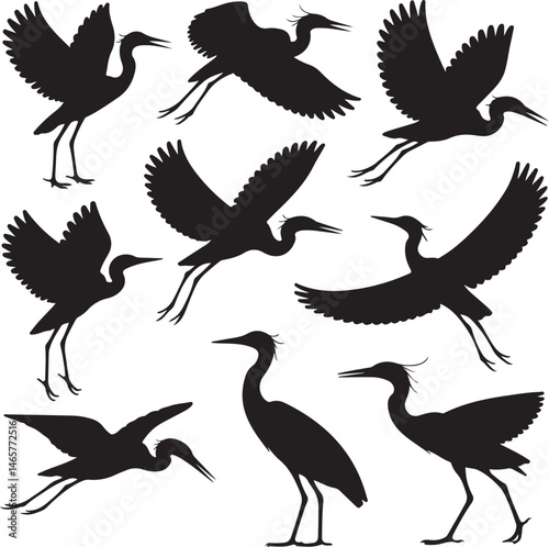 Heron Silhouette SVG – Elegant Bird Vector for Nature Designs

Flying Heron Clipart – Wildlife SVG for Crafts & Prints

Wading Bird Vector – Heron Design for Nature & Bird Lovers

Heron Standing SVG –