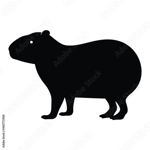Silhouette of a Capybara Hydrochoerus hydrochaeris largest rodent in the world