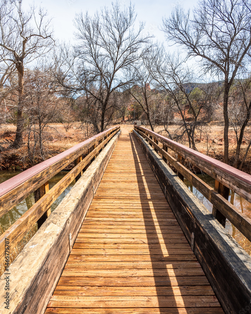 Fototapeta premium wooden bridge in the forest