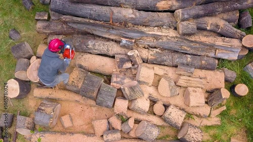 Lumberjack with a chainsaw cutting trees in the forest. Preparing firewood for winter. Top down view. Aerial view from drone
