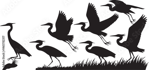 Heron Silhouette SVG – Elegant Bird Vector for Nature Designs

Flying Heron Clipart – Wildlife SVG for Crafts & Prints

Wading Bird Vector – Heron Design for Nature & Bird Lovers

Heron Standing SVG –