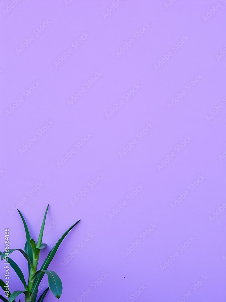 Obraz premium Purple wall background