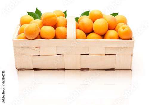 Aprikosenkörbchen freigestellt auf weissem Hintergund