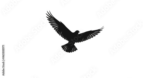 Minimalist vector silhouette of a bird soaring in flight with wings fully spread, representing freedom and grace, ideal for nature, travel, or aviation-related themes