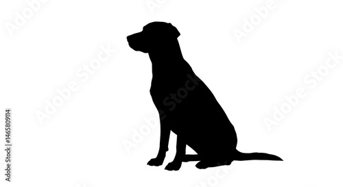 Simple and clean vector silhouette of a dog sitting and looking forward, perfect for pet-related designs, animal lovers, and logos for dog-themed products or services
