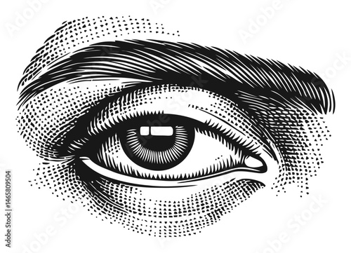 Intricate Hand-Drawn Vector Illustration of a Human Eye in Detail