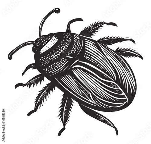 Detailed Black and White Vector Illustration of a Beetle Insect Design