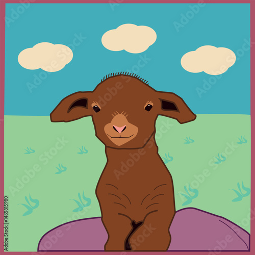 lamb illustration