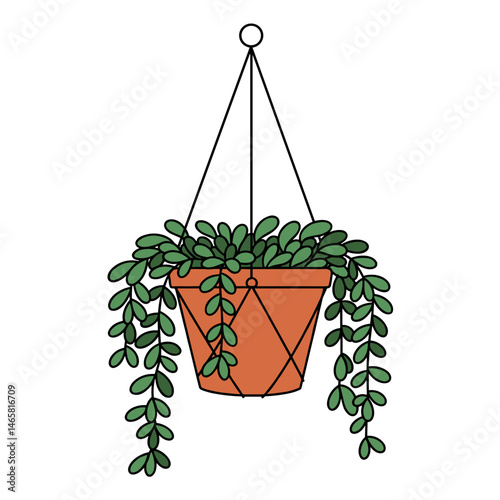 Hanging Planter Illustration, Green Cascading Leaves, Transparent Background. Indoor plants, home decor, nature, botany. Design element, illustration, articles