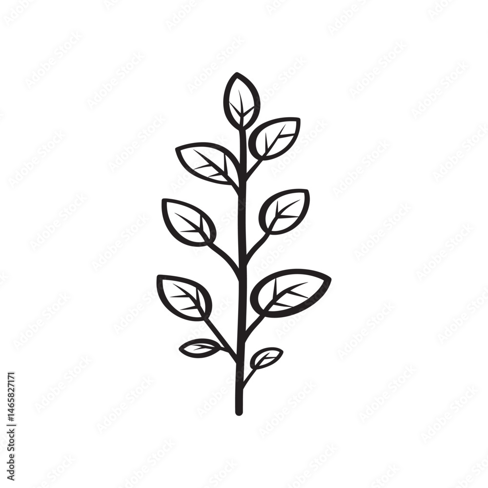 A simple branch with leaves is depicted in a black line drawing on white A simple branch with leaves is depicted in a black line drawing on white