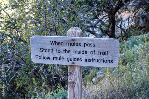 Watch for mules on South Kaibab Trail at Grand Canyon National Park.
