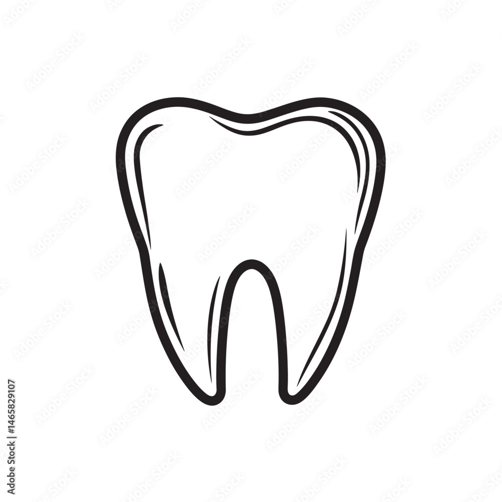 A single human tooth shows a detailed outline on a white background for dental care A single human tooth shows a detailed outline on a white background for dental care