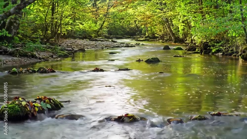 Gentle Stream Flowing Through Green Forest with Mossy Rocks Sunlight Filtering Through Leaves and Creating a Tranquil and Scenic Natural Landscape