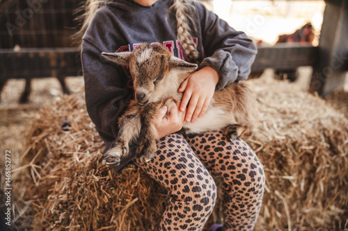 Εκτύπωση καμβά Young girl holding a baby goat at a petting zoo