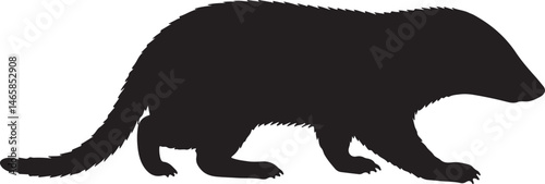 Lesser Grison Silhouette