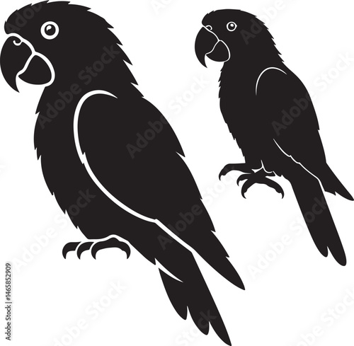 Lesser Vasa Parrot Silhouette
