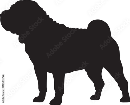 Obraz na płótnie Shar Pei Silhouette