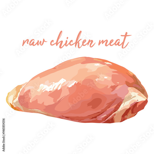 raw chicken meat in watercolor illustration style, isolated vector on white background
