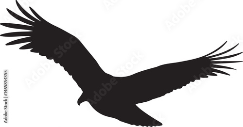 Turkey Vulture Silhouette