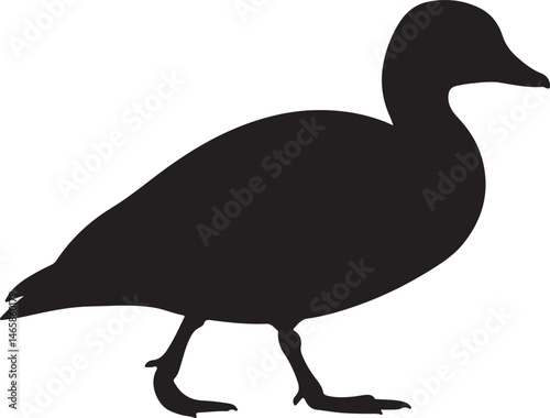 African Pygmy Goose Vector Silhouette