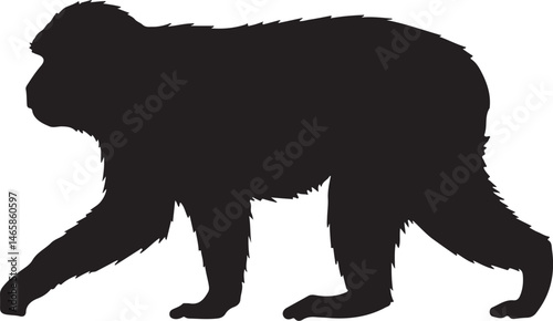 Barbary Macaque Vector Silhouette