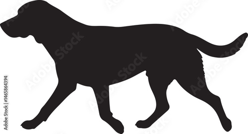 Finnish Hound Vector Silhouette